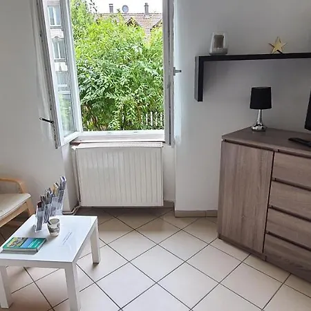 Appartement Avec Jardin A Colmar Exterior photo