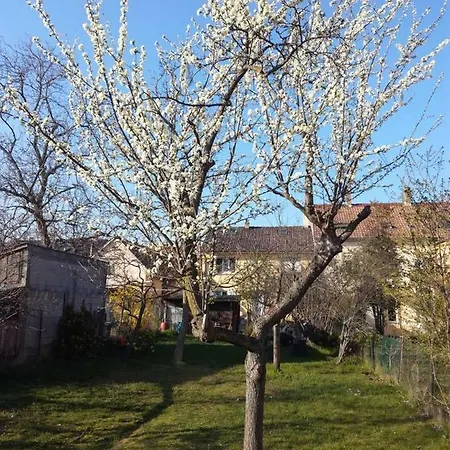 Appartement Avec Jardin A Colmar Exterior photo