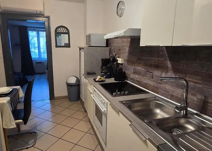 Appartement Avec Jardin A Colmar