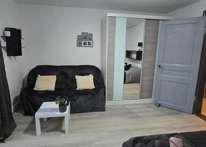 Appartement Avec Jardin A Colmar