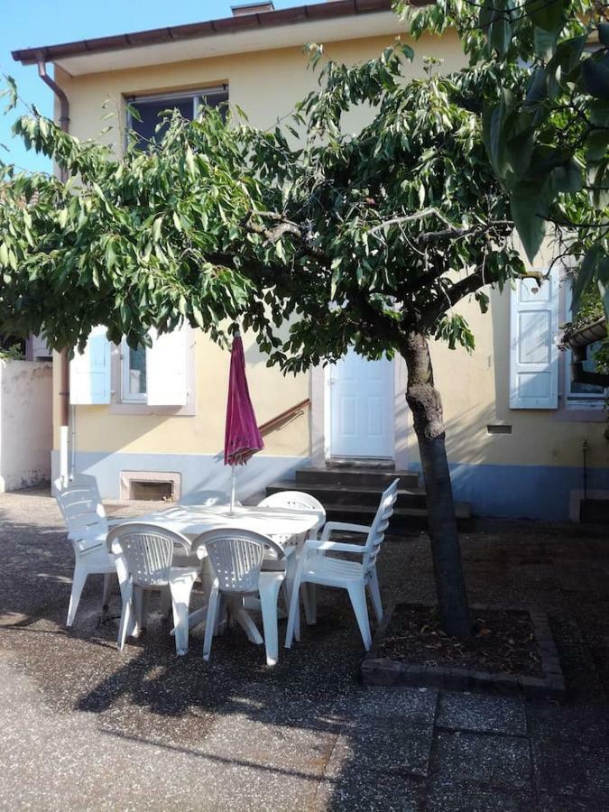 Avec Jardin à Appartement *