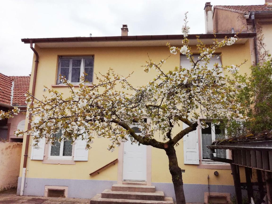 Appartement Avec Jardin à *
